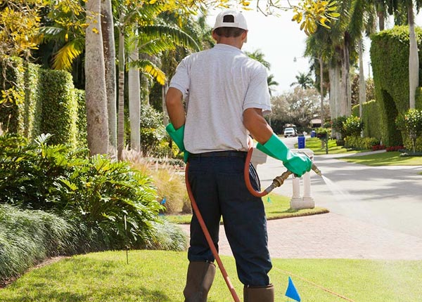 About Clements CA Pest Control